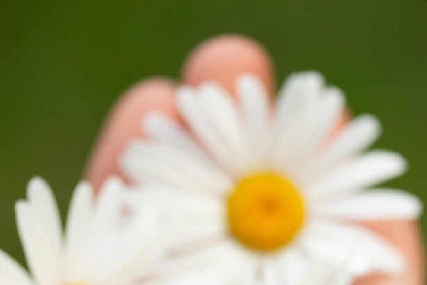 Exploring Baby Massage Benefits: Key Techniques for Enhanced Bonding and Wellness